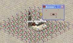 ɫ2ͼ:gold maze(ƽԹ)