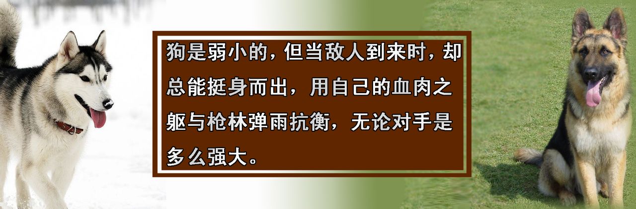 红色警戒游戏中的哲学