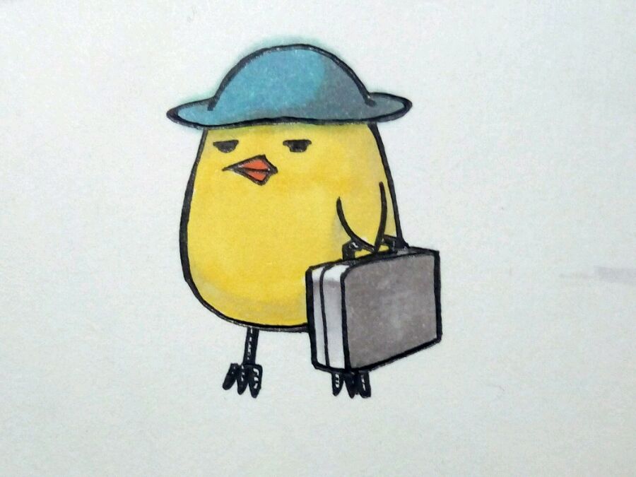 ɫ3 ƪ