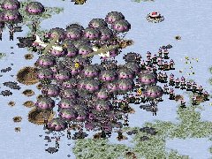 红色警戒2mod:伞兵群蜂50000